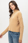 Mini Velvet Chenille Crop Sweater